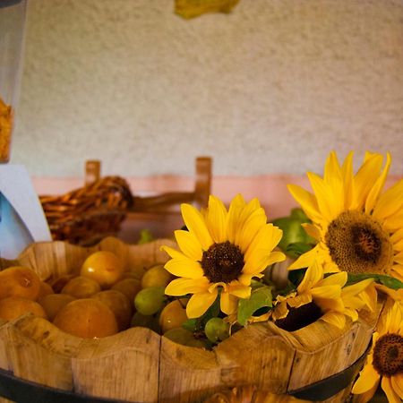 Agriturismo Mare E Monti 아제롤라 외부 사진