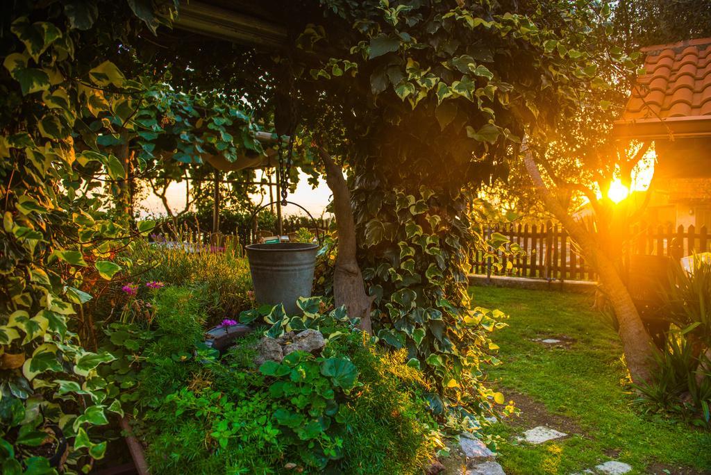 Agriturismo Mare E Monti 아제롤라 외부 사진