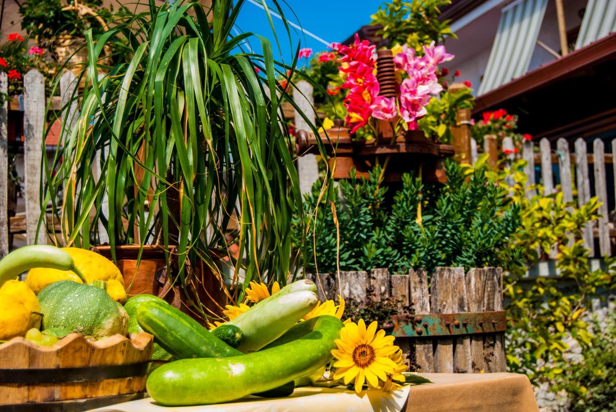 Agriturismo Mare E Monti 아제롤라 외부 사진