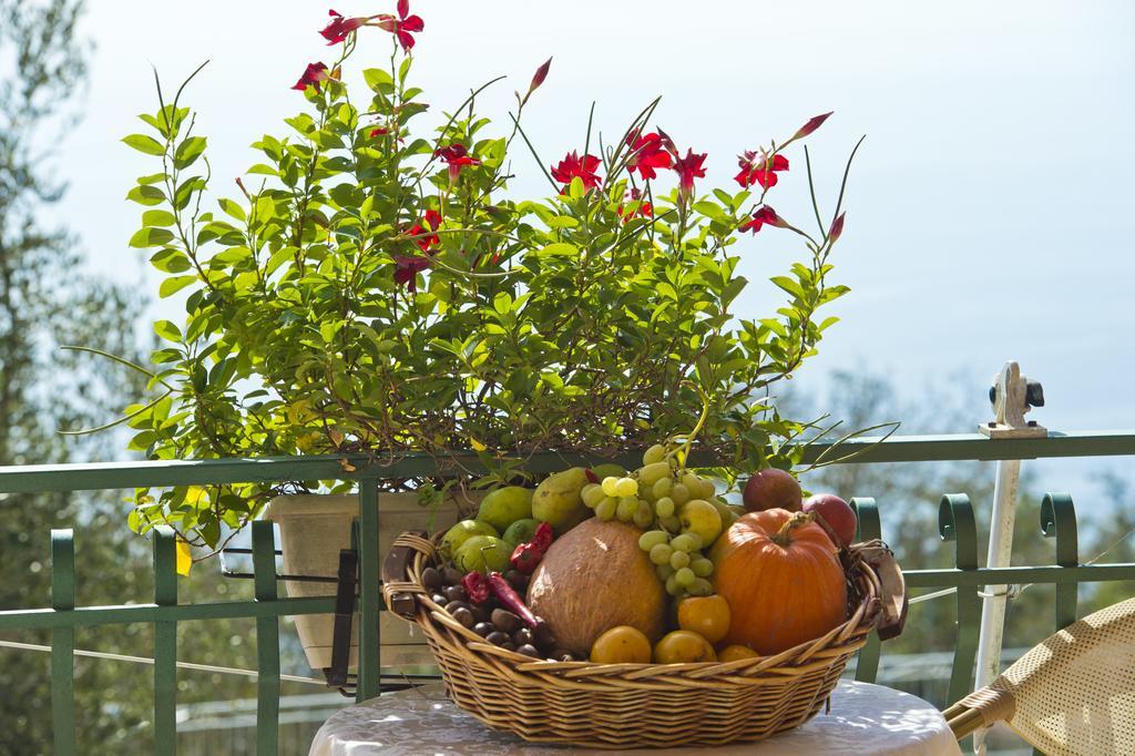 Agriturismo Mare E Monti 아제롤라 외부 사진