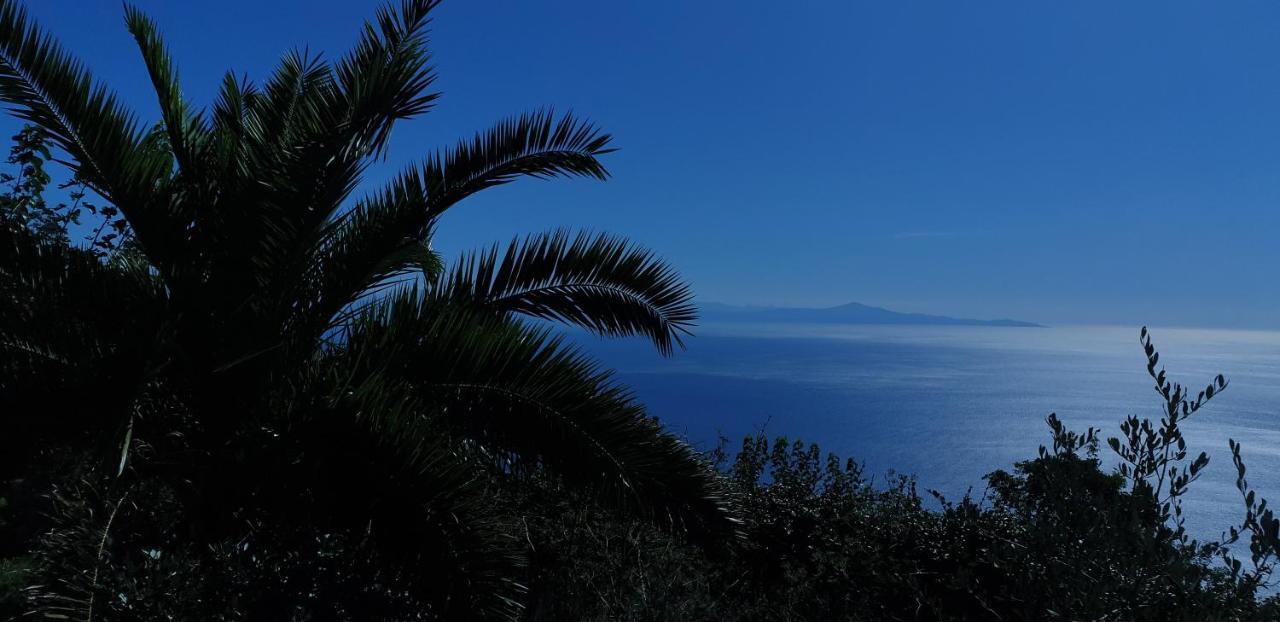 Agriturismo Mare E Monti 아제롤라 외부 사진