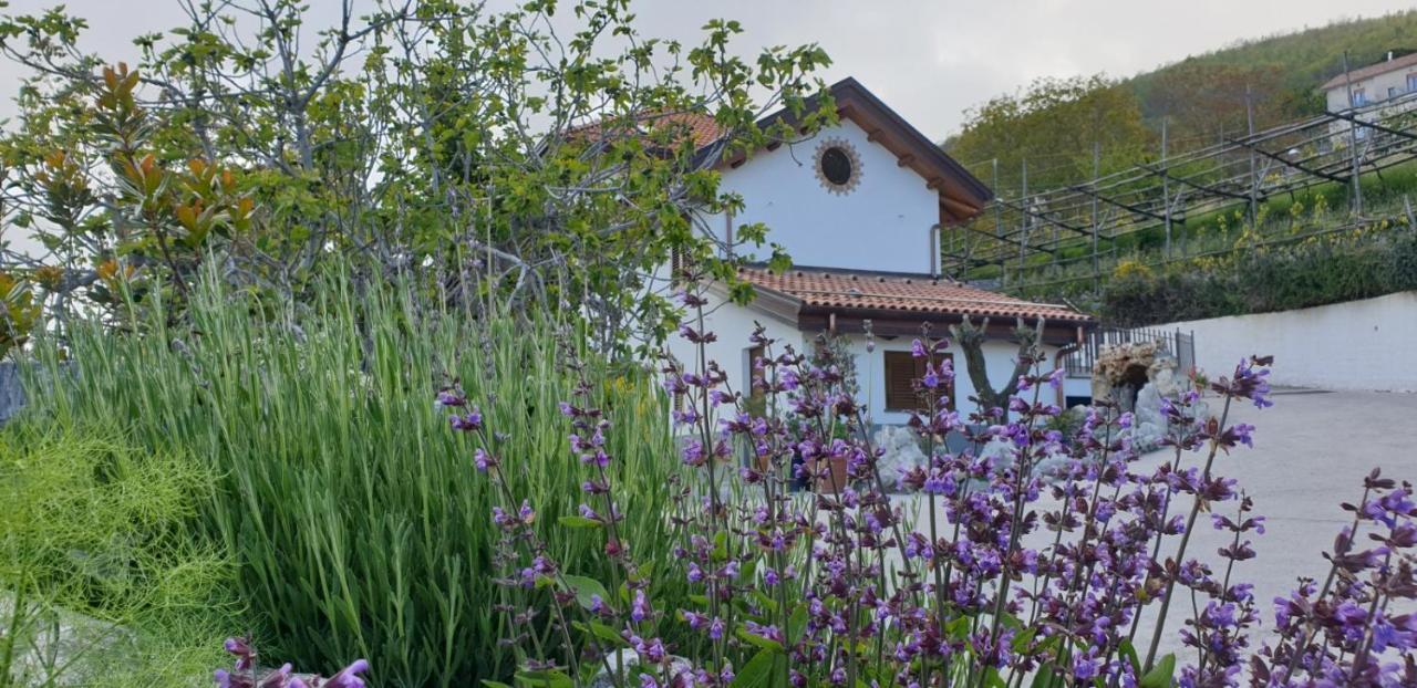 Agriturismo Mare E Monti 아제롤라 외부 사진