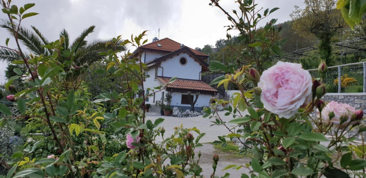 Agriturismo Mare E Monti 아제롤라 외부 사진